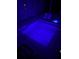 Inviting screened-in pool and spa with colored lights for nighttime enjoyment at 426 Islebay Dr, Apollo Beach, FL 33572