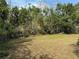 Spacious backyard featuring lush green grass and mature trees at 4316 70Th N Ave, Pinellas Park, FL 33781