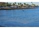 Beautiful waterfront view with clear blue water and palm trees lining the shore, evoking a sense of tranquility at 4851 W Gandy Blvd # B12L28, Tampa, FL 33611