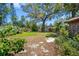 A spacious backyard featuring mature trees, lush greenery, a well-maintained fence, and ample space for outdoor activities at 568 La Plaza S Ave, St Petersburg, FL 33707