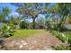 Lush backyard with mature trees providing ample shade and privacy, perfect for relaxation and outdoor enjoyment at 568 La Plaza S Ave, St Petersburg, FL 33707