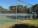 Fenced tennis courts with well-maintained surfaces and surrounding trees for an active community lifestyle at 5980 80Th St N # 106, St Petersburg, FL 33709
