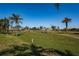 Scenic golf course view lined with palm trees and lush green grass, perfect for relaxation at 6191 Bahia Del Mar Blvd # 103, St Petersburg, FL 33715