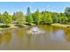 Picturesque community pond with fountain feature surrounded by mature trees and manicured lawns at 6910 Rock Springs Way, Tampa, FL 33625