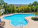 A kidney shaped pool has clear blue water with a paved deck area, lounge chairs, palm trees, and shade structures at 6910 Rock Springs Way, Tampa, FL 33625