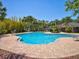 Resort style community pool surrounded by verdant landscaping, lounge chairs, and outdoor seating areas at 6910 Rock Springs Way, Tampa, FL 33625