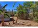 Lush backyard featuring mature banana trees and ample shade at 7802 N 53Rd St, Tampa, FL 33617