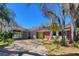 Charming single-story brick home featuring a welcoming carport and mature, verdant landscaping at 7802 N 53Rd St, Tampa, FL 33617