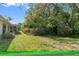 View of spacious backyard with green lawn and trees, highlighting the serene and private outdoor living space at 8195 Wooden Dr, Spring Hill, FL 34606