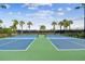 Dual tennis courts showcase blue and green surfacing, net fixtures, and lighting amidst palm-lined fencing at 10816 Wendover Dr, Palmetto, FL 34221