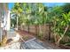 Landscaped backyard featuring a new fence, mature palm trees and paved walkway at 13777 Forest Lake Dr, Largo, FL 33771