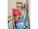 Organized closet with shelving, storage bins and rods for hanging clothes and storage at 262 S Port Royal Ln, Apollo Beach, FL 33572
