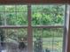 Green leafy view from window overlooking the lush backyard at 29823 Ganga Way, Wesley Chapel, FL 33543