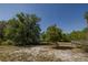 View of the backyard with mature trees, a deck, a shed, and natural landscaping at 35109 Excalibur, Webster, FL 33597