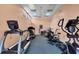 Well-equipped gym featuring modern treadmills, elliptical trainers, and other fitness machines at 4550 Pinebrook Cir # 505, Bradenton, FL 34209