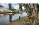 This property has waterfront views with easy access to the water for boating and fishing at 5830 Portsmouth Dr, Tampa, FL 33615