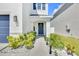 Front entrance featuring a welcoming dark-blue door, decorative plants, and a well-lit pathway at 636 Sunlit Coral St, Ruskin, FL 33570