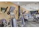 Well-equipped gym with cardio machines and weights for residents' fitness needs at 8125 Stone Path Way, Tampa, FL 33647