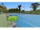 Well-maintained tennis court with a full cart of tennis balls ready for a match at 8125 Stone Path Way, Tampa, FL 33647