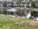 Water feature on the pond in front of the property at 825 S Village N Dr # 201, St Petersburg, FL 33716