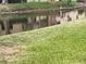 Scenic view of waterway with greenery, and a heron standing on a log at 825 S Village N Dr # 201, St Petersburg, FL 33716