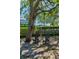Lush backyard with mature trees providing shade and an inviting seating area at 985 Wellington Ct, Dunedin, FL 34698