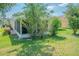 Exterior backyard featuring lush green grass and screened lanai, perfect for outdoor enjoyment at 10809 Collar Dr, San Antonio, FL 33576