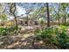 Shaded backyard space with lush greenery and mature trees at 110 Parkside Colony Dr, Tarpon Springs, FL 34689