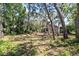 Backyard featuring mature trees providing ample shade at 110 Parkside Colony Dr, Tarpon Springs, FL 34689