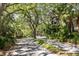 Picturesque tree-lined street showcasing the peaceful neighborhood at 110 Parkside Colony Dr, Tarpon Springs, FL 34689