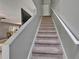 Carpeted staircase leading to the second level of the home with white walls and white banister at 2915 Royal Tuscan Ln, Valrico, FL 33594
