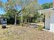 Spacious backyard features a shed, mature landscaping, and pergola at 312 N Manhattan Ave, Tampa, FL 33609