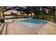 Inviting swimming pool with screened enclosure offering serene lake views and ample patio space at 3407 W Busch Blvd, Tampa, FL 33618