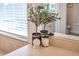 Bright bathroom countertop with decorative plant, cotton balls, and a view of the mirror at 3527 101St E Ave, Parrish, FL 34219