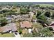 Aerial view of a residential neighborhood showing well-kept lawns, mature trees, and single-Gathering homes at 501 Sportsman Park Dr, Seffner, FL 33584