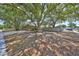 Charming home with mature trees at 601 Cedar Grove Dr, Brandon, FL 33511