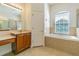The main bathroom has a large soaking tub, vanity with sink, and an exterior window at 9823 Rolling Cir, San Antonio, FL 33576