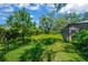 Spacious backyard with well-maintained lawn, mature trees, and partial view of the screened-in pool area at 1007 Morfield Ln, Brandon, FL 33511
