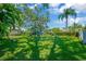 A vibrant backyard playground with a slide and dome climber on a lush lawn at 1007 Morfield Ln, Brandon, FL 33511