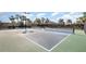Well-maintained tennis and pickleball courts offering an active lifestyle in a beautiful setting at 10450 Highland Park Pl, Palmetto, FL 34221