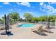 Community pool with lounge chairs surrounded by well-maintained greenery at 1134 Starfish Ln, Tarpon Springs, FL 34689