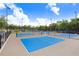 Well-maintained blue tennis and pickleball courts surrounded by greenery, perfect for sports enthusiasts at 1134 Starfish Ln, Tarpon Springs, FL 34689