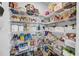 Walk-in pantry with ample shelving, providing abundant storage space for groceries and household items at 12908 Hawkstone Trail Blvd, Lithia, FL 33547
