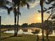 Tranquil pond view at sunrise framed by swaying palm trees, creating a peaceful scene at 12918 Royal George Ave, Odessa, FL 33556