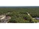 Aerial view of trees surrounding a home, neighborhood, and wooded lot from a distance at 13486 English Sparrow Rd, Weeki Wachee, FL 34614