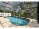Inviting pool with a screened enclosure, offering a private outdoor retreat at 2719 Brookville Dr, Valrico, FL 33596