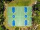 Aerial view of community basketball courts, located in a wooded area at 31434 Shaker Cir, Wesley Chapel, FL 33543