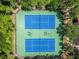 Overhead view of community tennis courts surrounded by trees, offering players shade at 31434 Shaker Cir, Wesley Chapel, FL 33543