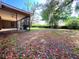 Spacious backyard featuring a screened patio and lush landscaping, offering a relaxing outdoor living space at 3907 Applegate Cir, Brandon, FL 33511