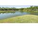Scenic view of a serene pond surrounded by lush greenery, offering a peaceful and natural setting at 417 Ventura Dr, Oldsmar, FL 34677